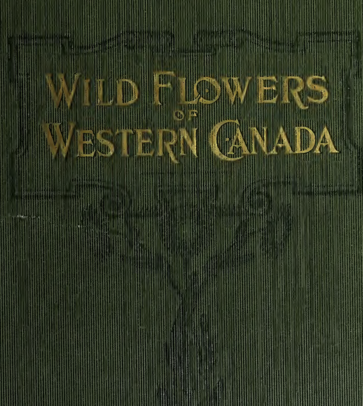 Excerpt from 'Wild flowers of Western Canada'