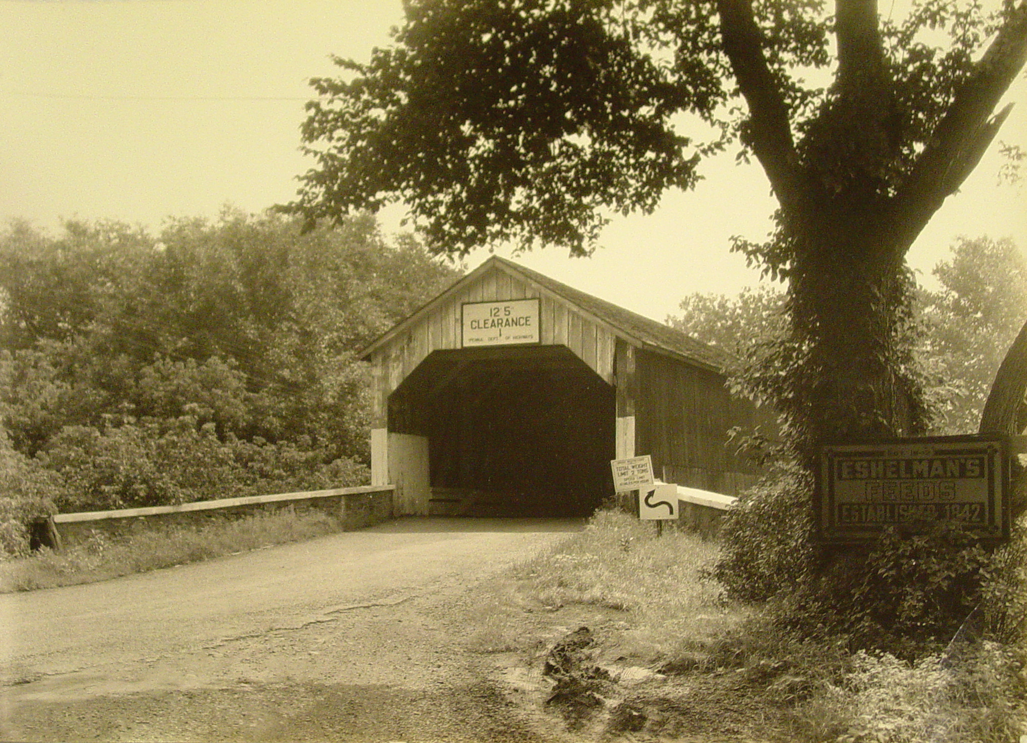 Bridge 118