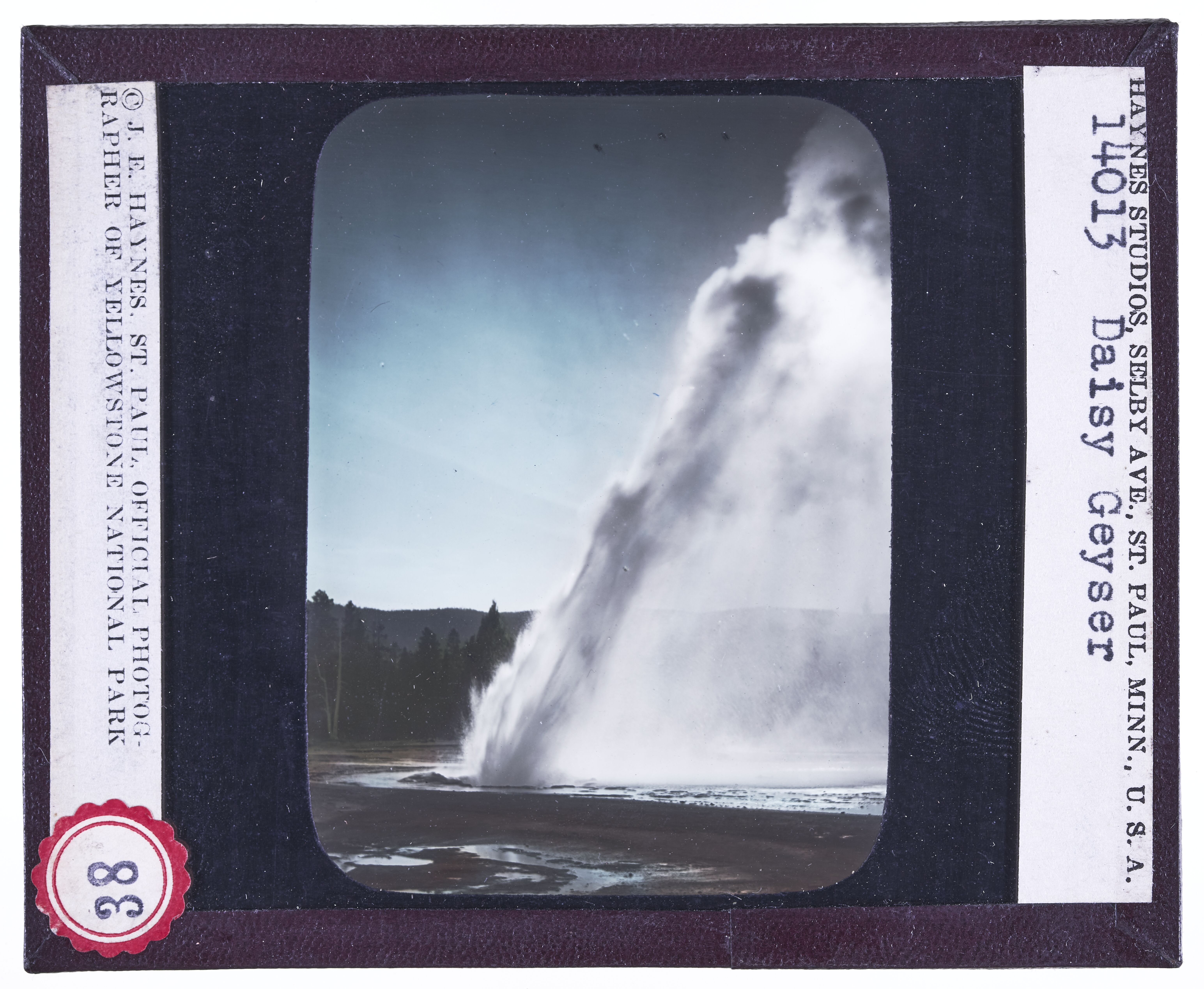 The Daisy Geyser