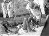 Gandhi attending to Parchure Shastri